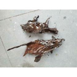 Aquarium hout en steen