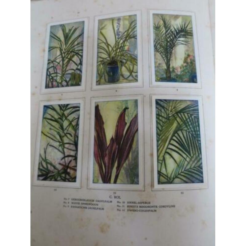 (00) Plaatjesalbum Kamerplanten / A.J. van Laren (Verkade)