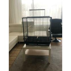Vogelkooi te koop