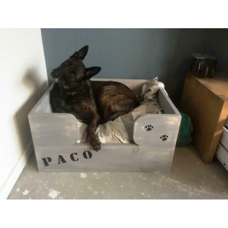 Nieuwe steigerhouten hondenmand