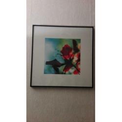 lijst met poster 2,00