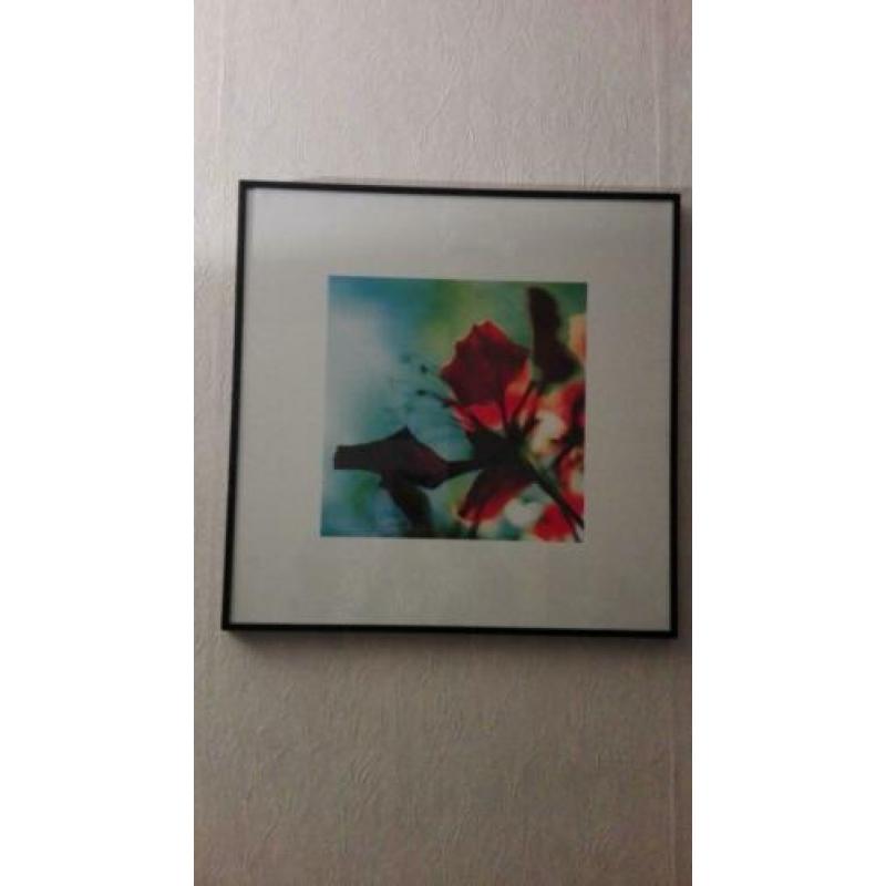 lijst met poster 2,00