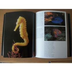 De Levende Zee - Les Line en George Reiger – zgan