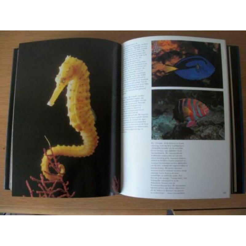 De Levende Zee - Les Line en George Reiger – zgan