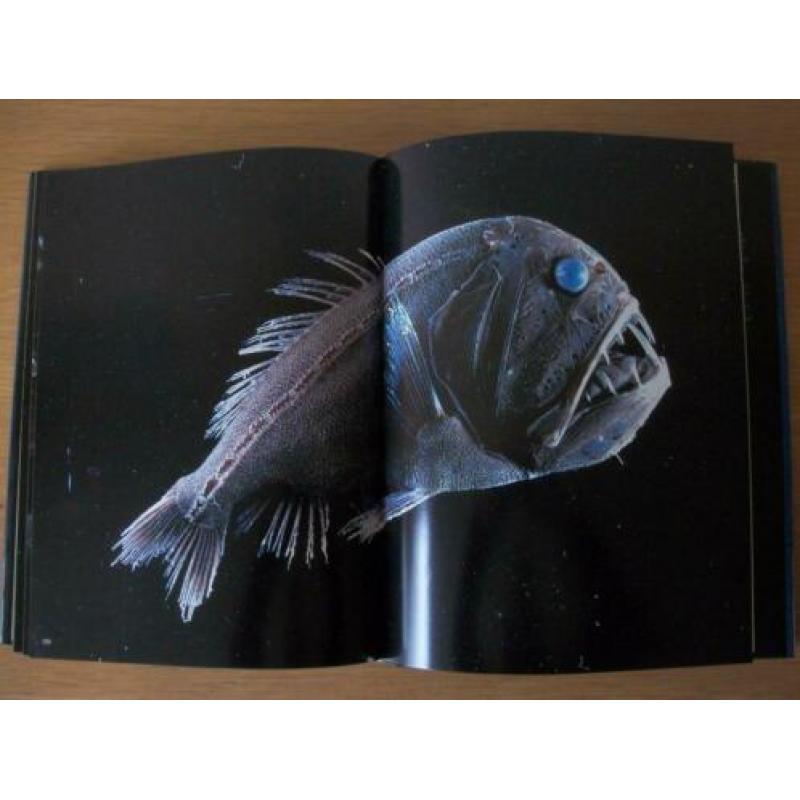 De Levende Zee - Les Line en George Reiger – zgan