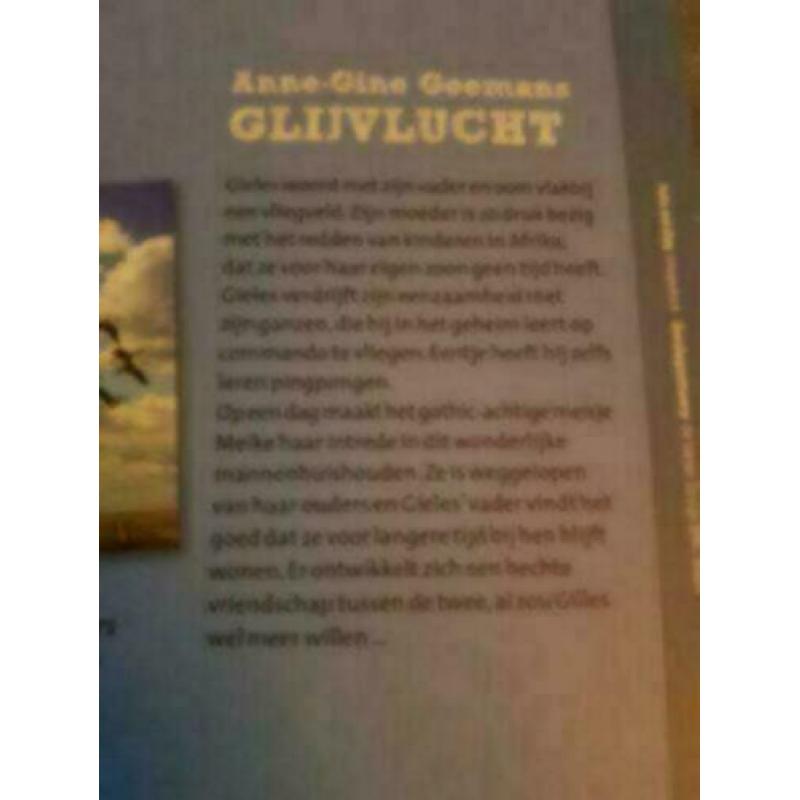 Glijvlucht - Anne Gine Goemans