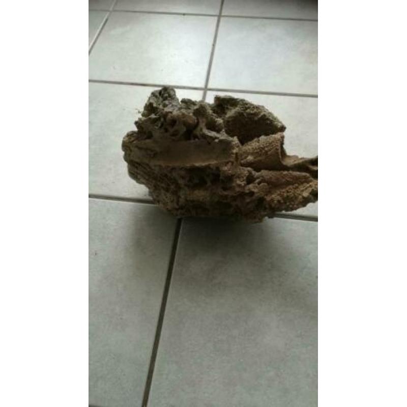 Aquarium hout en steen
