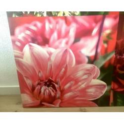 Mooi groot bloemen schilderij
