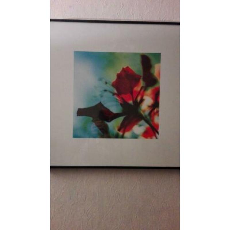 lijst met poster 2,00