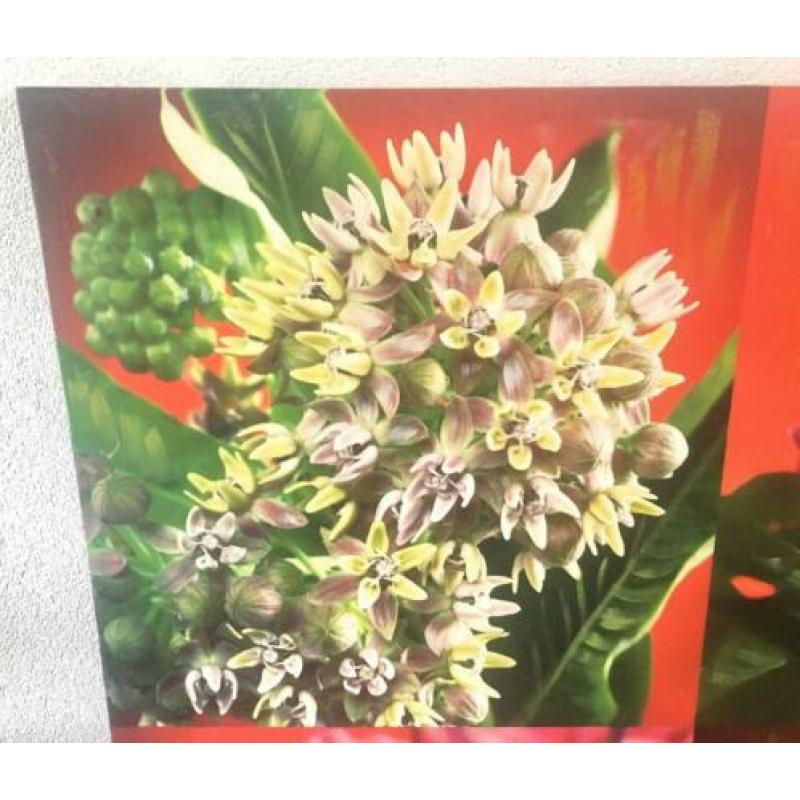 Mooi groot bloemen schilderij