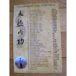 Tai Chi : Stillness through Motion * DVD