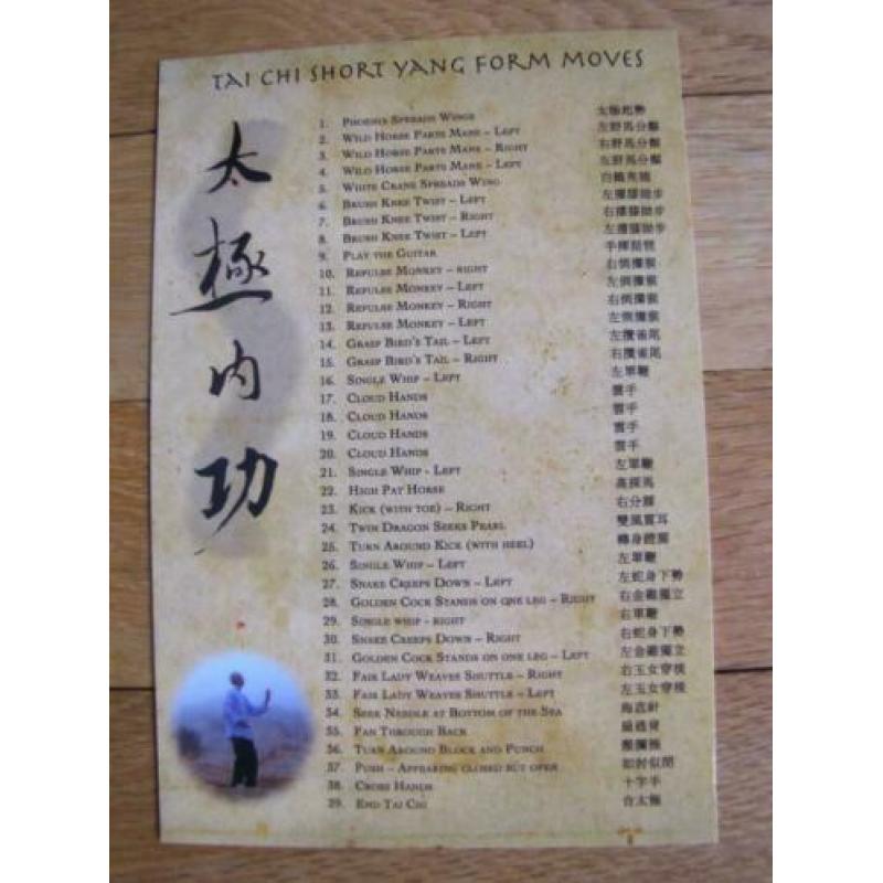Tai Chi : Stillness through Motion * DVD
