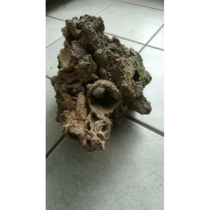Aquarium hout en steen