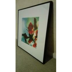 lijst met poster 2,00