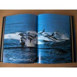 De Levende Zee - Les Line en George Reiger – zgan
