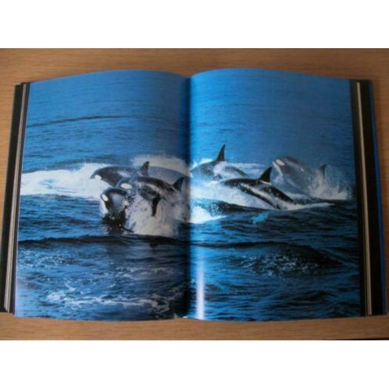 De Levende Zee - Les Line en George Reiger – zgan