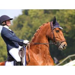 Anatomisch hoofdstel Horsegear Aquila, ZGAN bruin Full