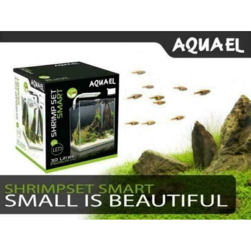 Cube ook daar in hebben we de grootste keus! nano aquarium