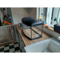 Aquarium