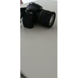 Nikon D5000 plus Sigma 17-70