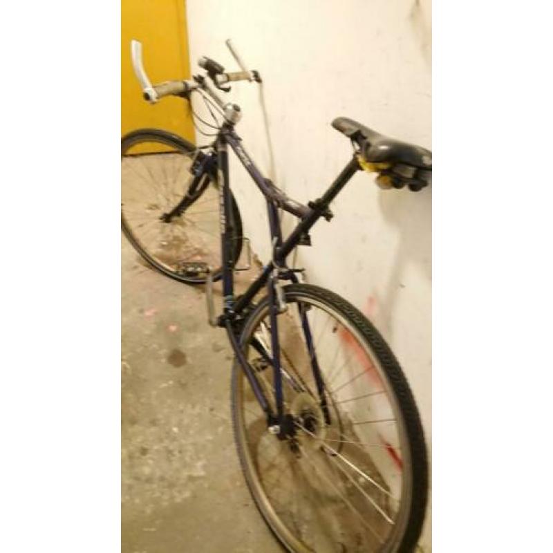 Gazelle Puerto 57cm crosshybride