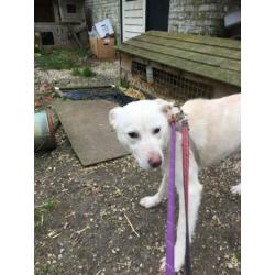 Ter adoptie Sky