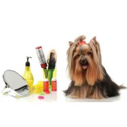 HIPDOGS CARE voor nagels en vachtverzorging bij u thuis