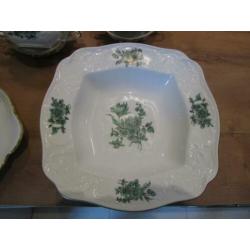 Sanssouci weiss Grune Blume Rosenthal groene bloem