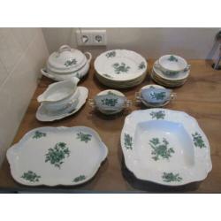 Sanssouci weiss Grune Blume Rosenthal groene bloem