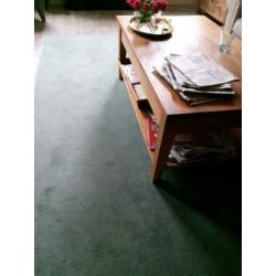 groen vloerkleed extra groot 2 x 3 meter ZGAN