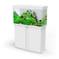 Ciano Emotions Pro 100 Aquarium