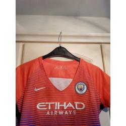 Dames shirt Manchester City, Nike maat L.