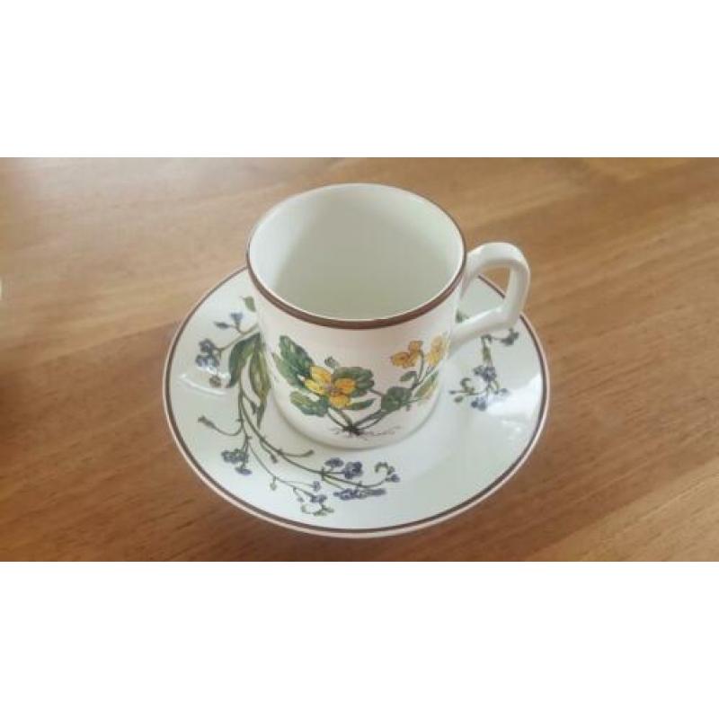 Kop en schotels, Botanica, Douwe Egberts, Villeroy & Boch