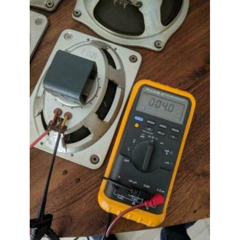 DEW Alnico breedband luidsprekers voor buizen versterker