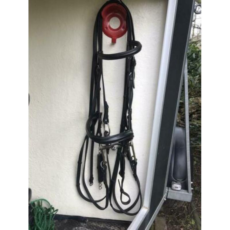 Stang en trens hoofdstel