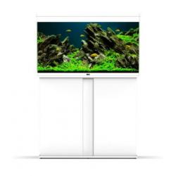Ciano Emotions Pro 100 Aquarium
