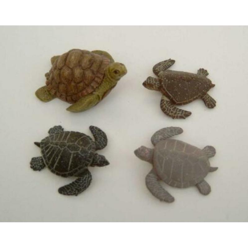Zeeschildpadden Figuren - 4 Soorten