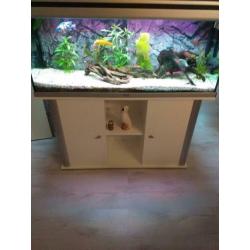Aquarium