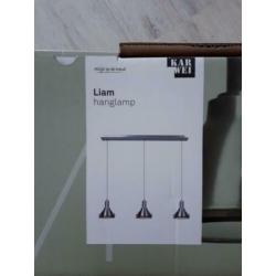 Nieuw Hanglamp Liam (Karwei)