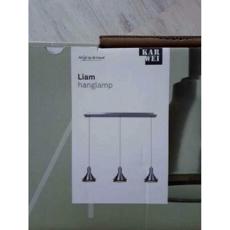 Nieuw Hanglamp Liam (Karwei)