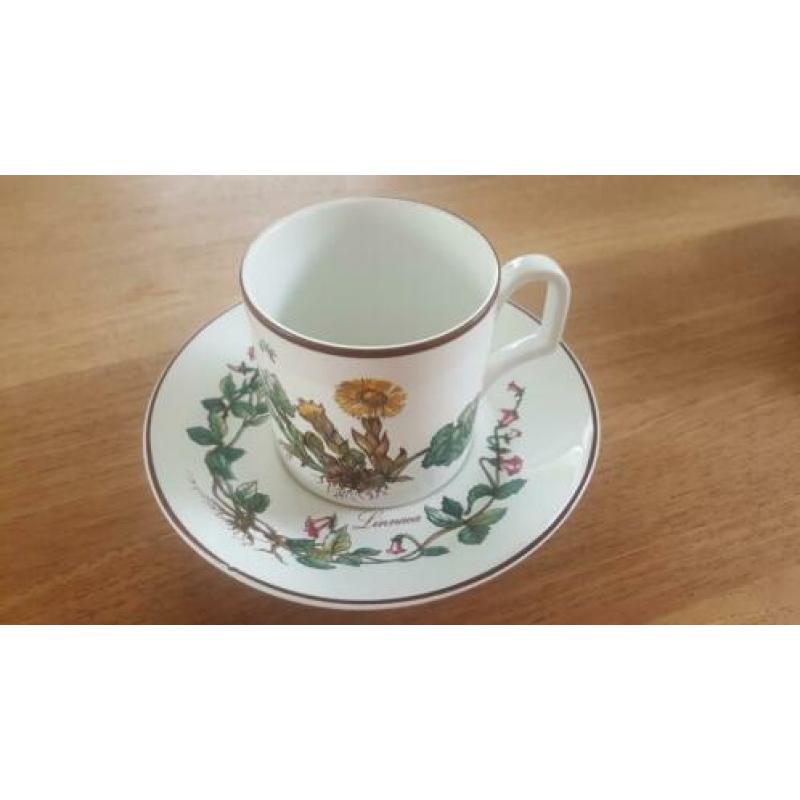 Kop en schotels, Botanica, Douwe Egberts, Villeroy & Boch