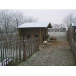 Schapen-Geitenhok ( All- inn geplaatst )