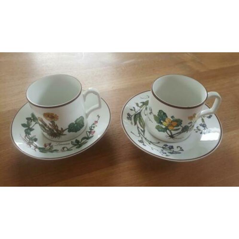 Kop en schotels, Botanica, Douwe Egberts, Villeroy & Boch