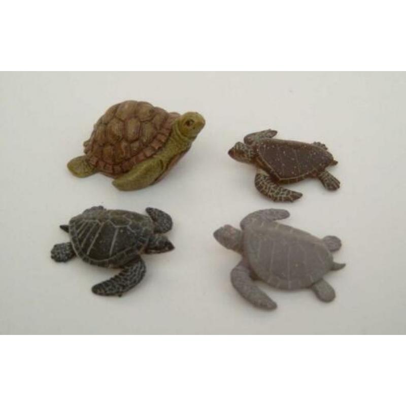 Zeeschildpadden Figuren - 4 Soorten