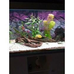 Aquarium