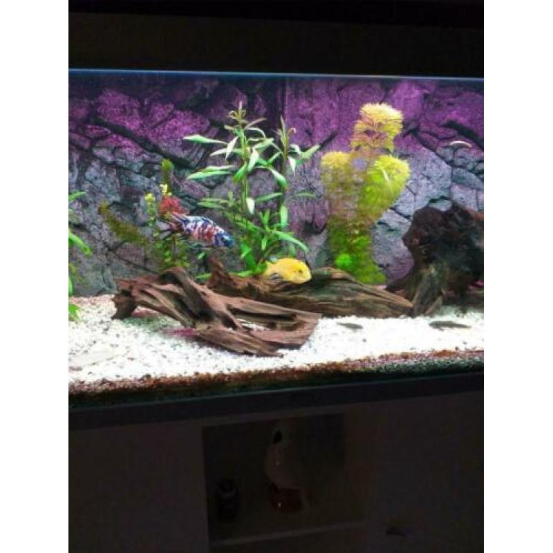 Aquarium