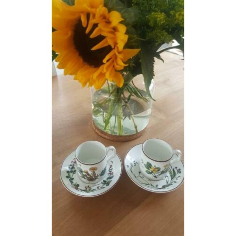 Kop en schotels, Botanica, Douwe Egberts, Villeroy & Boch