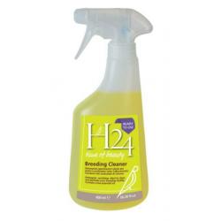 H24