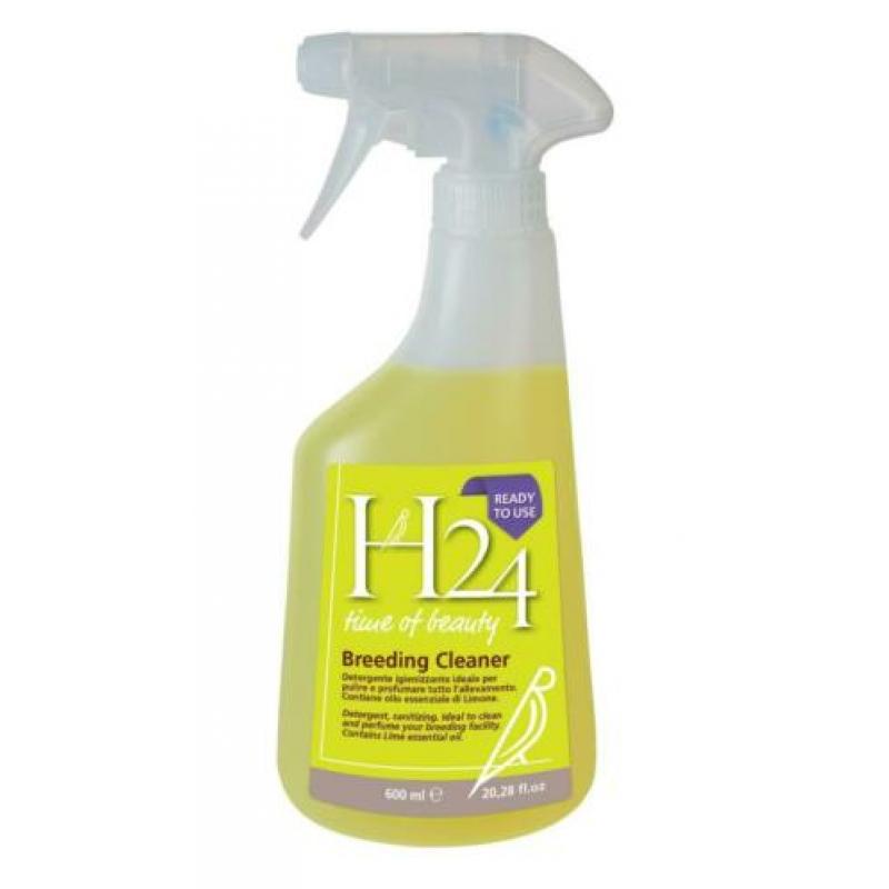 H24
