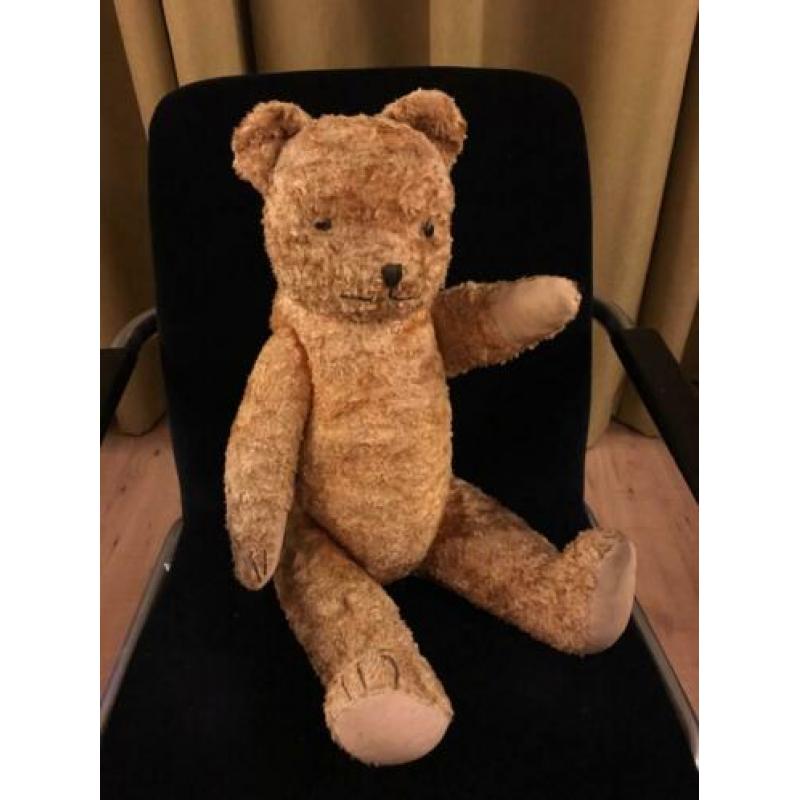 60 jaar oude Beer